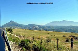 607- Casares